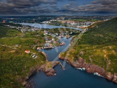 Quidi Vidi